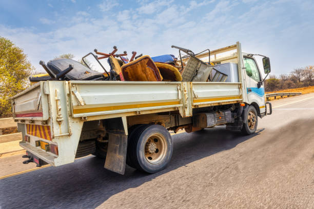 Best Basement Cleanout Services  in Nicholasville, KY